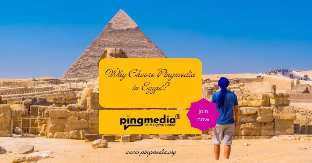 Why Choose Pingmedia in Egypt